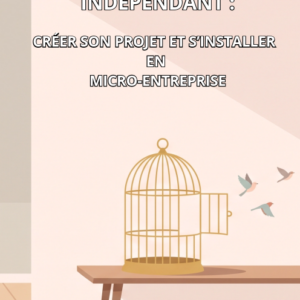 Educateur Spécialisé Indépendant : Créer son projet et s'installer en micro-entreprise.